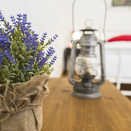 Apartment Dinka With Terrace *