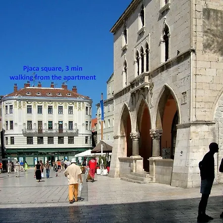 Dinka With Terrace Split