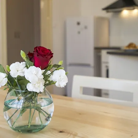 Apartman Dinka With Terrace